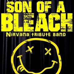 breed Nirvana cover by son of a bleach