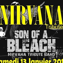 Rape me Nirvana Cover by Son of a Bleach