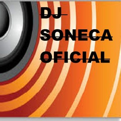 MEGA PLAYXERACA DO DJ SONECA 2018 SO AS MELHORES DOS BAILES