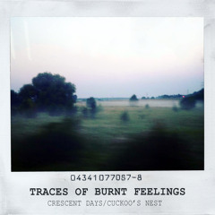 Cuckoo's Nest - traces of burnt feelings