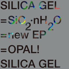 Silica Gel - 불한당 Rogues (TAP.T Remix)