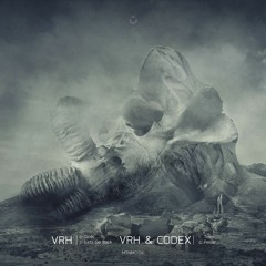 MTNM006 C : VRH & CODEX - Toxin