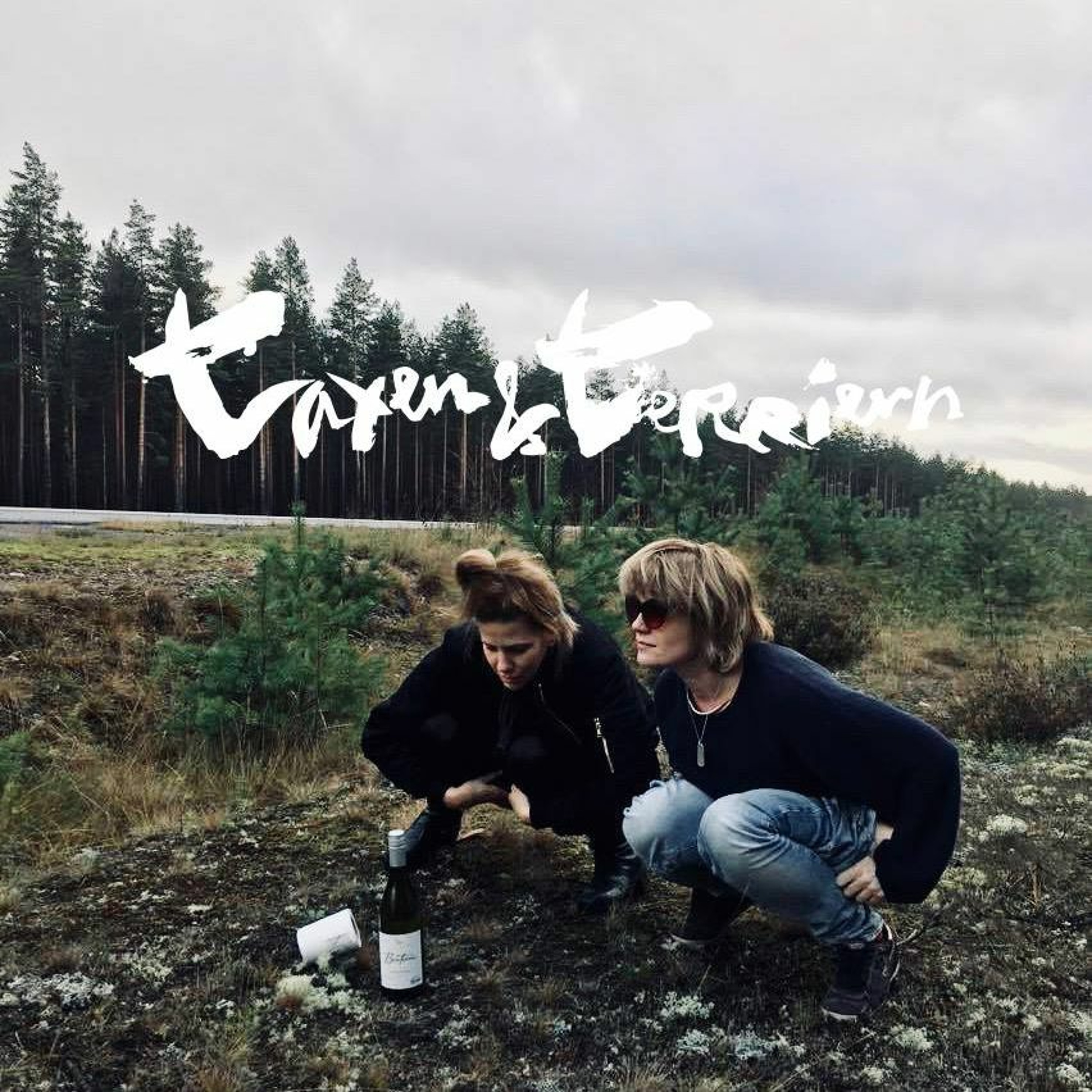 Taxen och Terriern