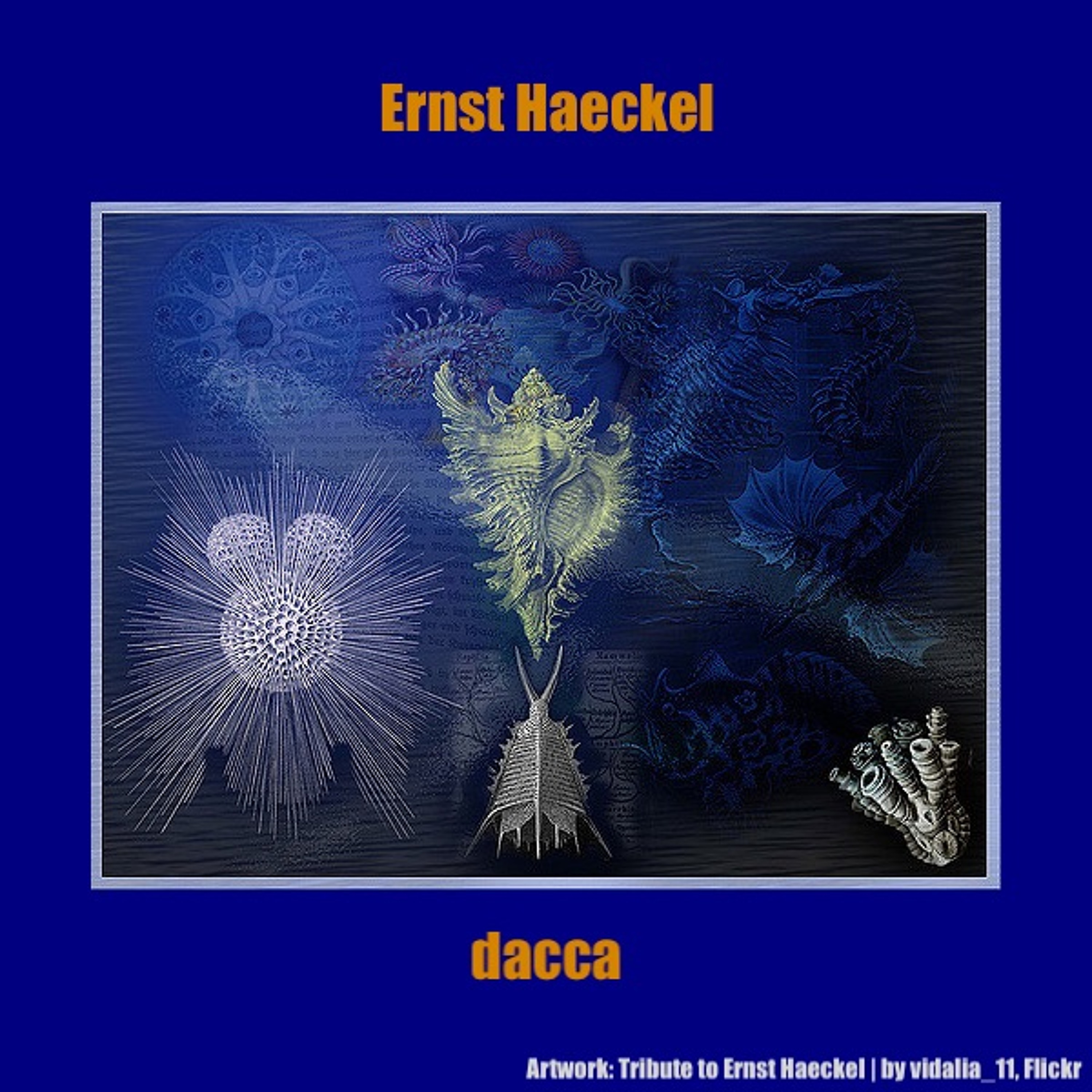 dacca