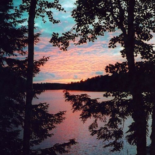 Harmony Instrumental