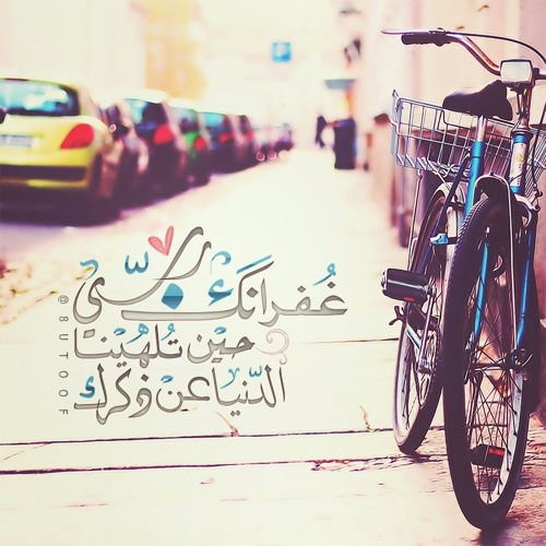النمل