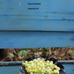 Grow Norden - Uspenie 24 (feat. Mahaon)