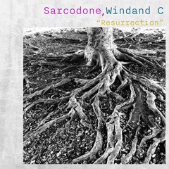 TH126_Sarcodone,Windand C_Desert Storm
