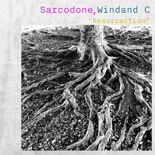 TH126_Sarcodone,Windand C_Inferno