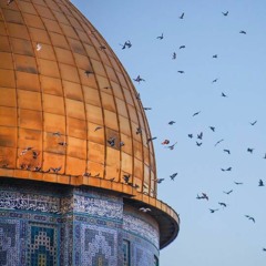 القدس تجمعنا  - فرقة الولاية
