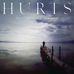 Hurts - Somebody To Die For (TeddyBear Remix)