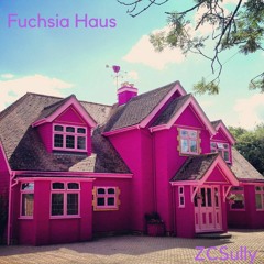Fuchsia Haus (Original Mix)