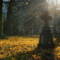 Lavender Score (Extract)