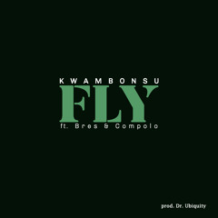 Fly ft. Bres & Compolo (prod. Dr. Ubiquity)