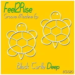 Feel2Rise - Give me your love (Original Mix) BTD020