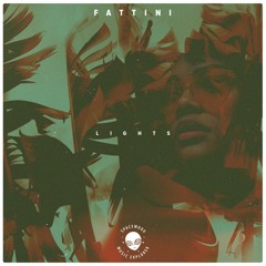 Fattini. - Lights