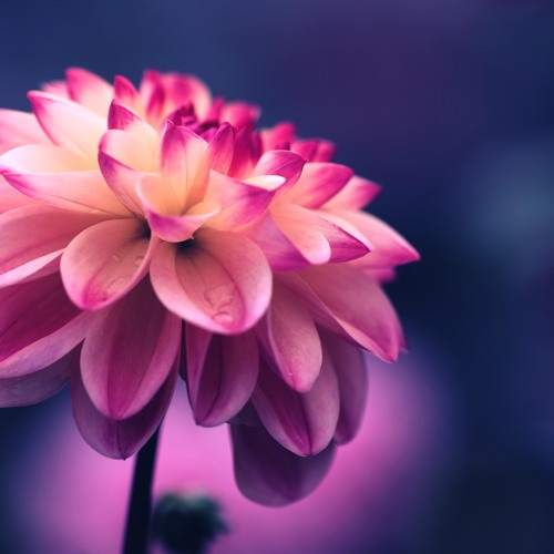 What is Competition and how to be Grateful for it