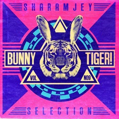 Chemical Surf, Breaking Beattz - Don't Stop (Original Mix) by Bunny Tiger!