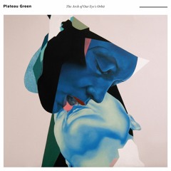 The Arch of Our Eye's Orbit