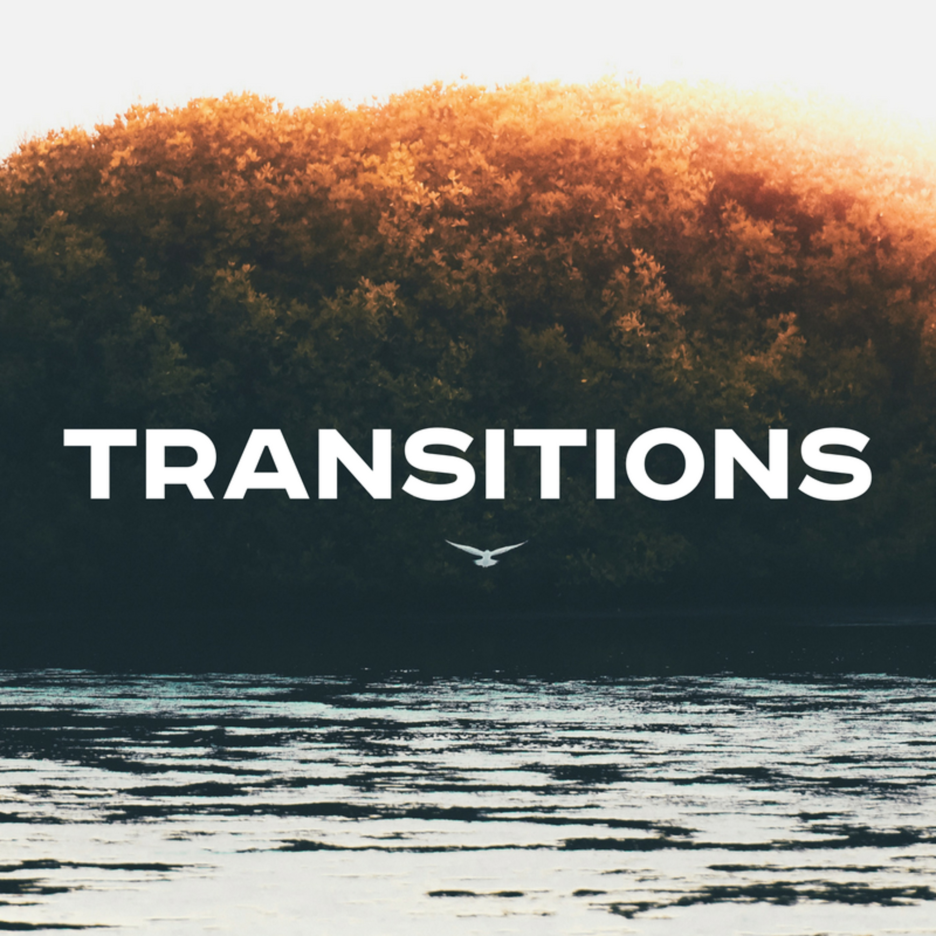 12-10-17p - Josh Pennington - Transitions episode artwork