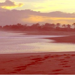 wav.y prod white tra$h x 4AM