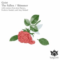 Geist- Shimmer (Amy Unland Remix)
