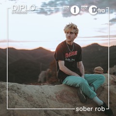 sober rob - Diplo & Friends Mix
