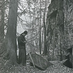 PURIFICATION OF THE CITY