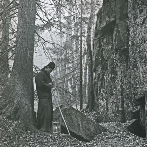 PURIFICATION OF THE CITY