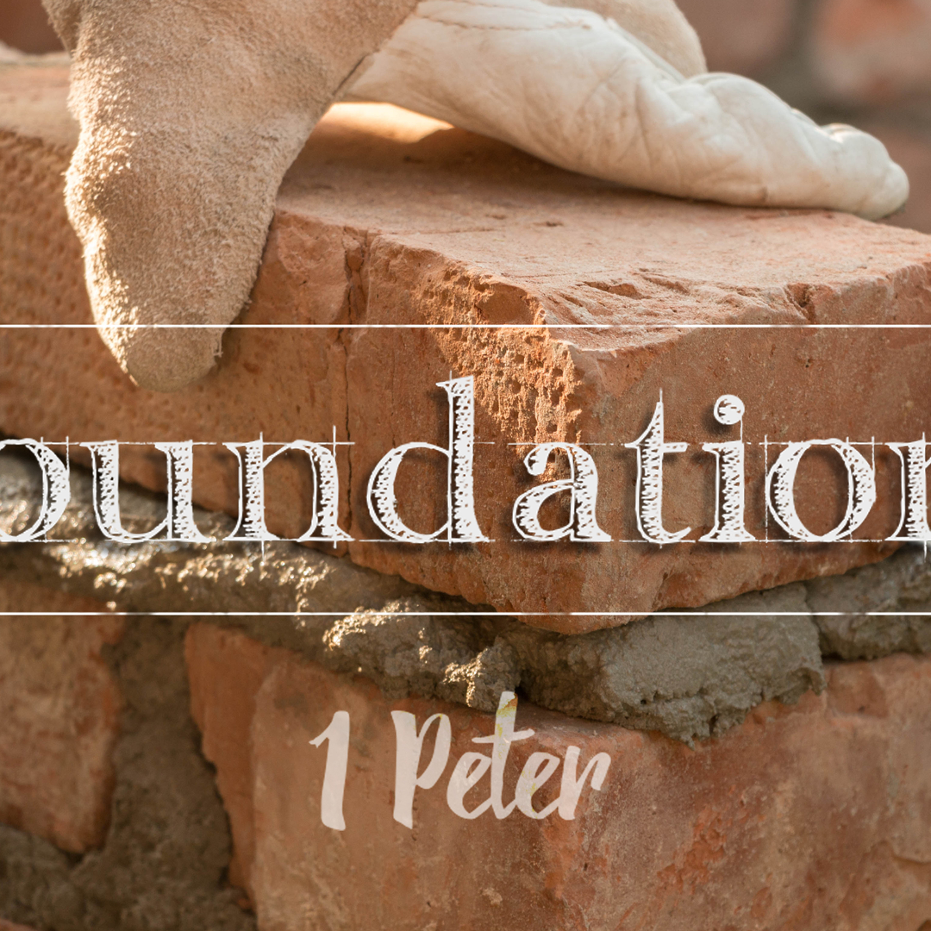 December 10, 2017 Foundations, week 12: The Sheep that shepherds the Sheep episode artwork
