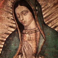 Homilia Diária.715: Festa de Nossa Senhora de Guadalupe