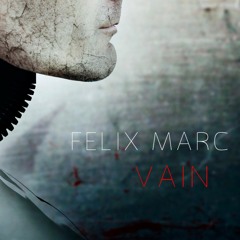 Vain (Mental Discipline Remix)