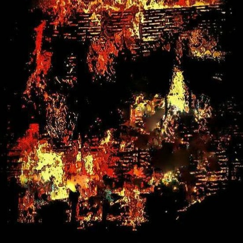 Bones