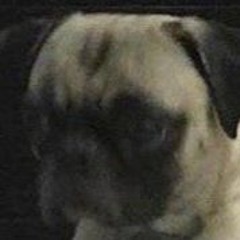 knxwledge x 21 savage - stuntin' no meu jstowee