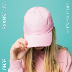 Cut Snake - Echo (Slick Thieves Remix)