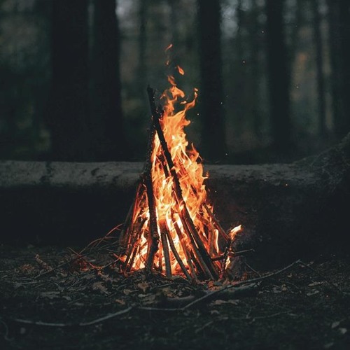 سورة الزخرف_القارئ وديع اليمني 🌼💌