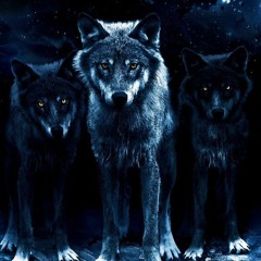 Pack Gang (feat. Wolf Pack Baseball)