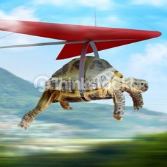 Everyday (Real Guy cover)