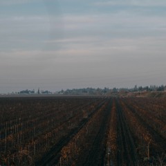 Running Away From My Problems