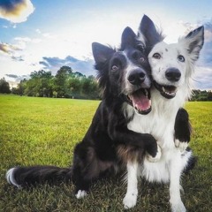 Count on me cover - Bruno Mars