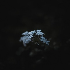 Lido - Catharsis (daehan flip)