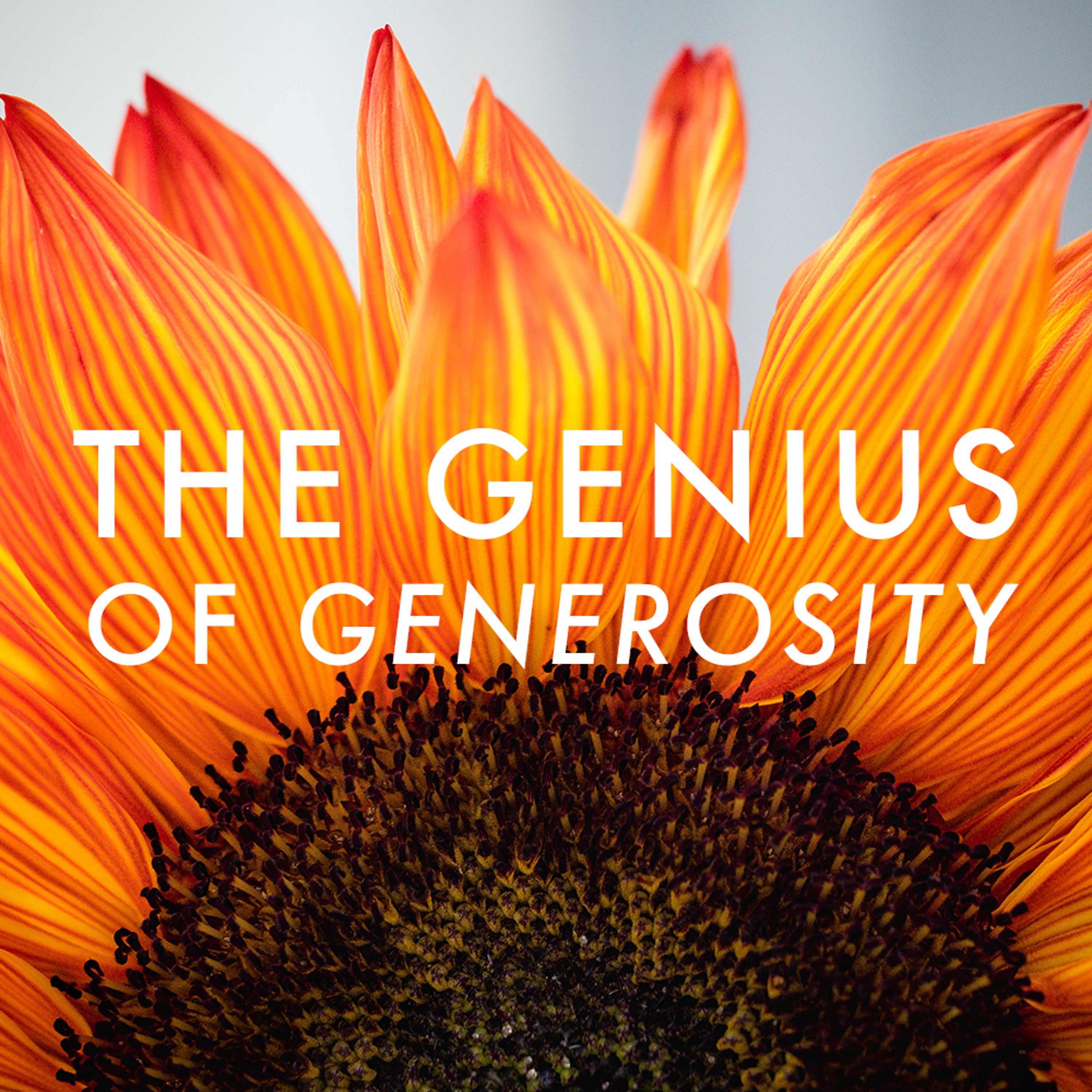 Sonshine Baptist Church Podcast
