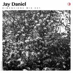 DIM001 - Jay Daniel