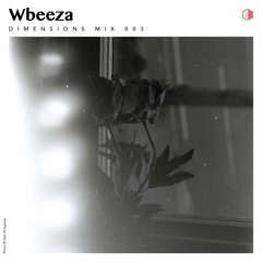 DIM003 - Wbeeza