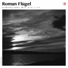 DIM014 - Roman Flugel (Live 2013)