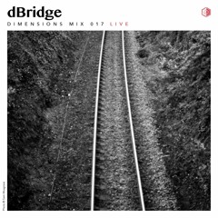 DIM017 - dBridge (Live 2013)