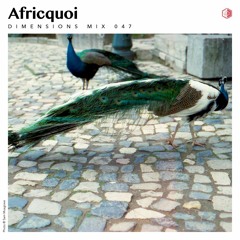DIM047 - Afriquoi