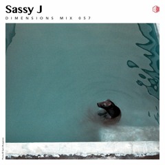 DIM057 - Sassy J