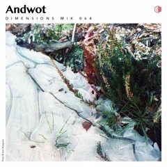 DIM064 - Andwot
