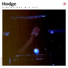 DIM065 - Hodge